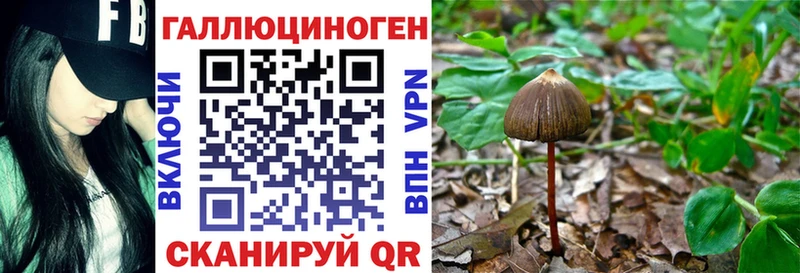 Псилоцибиновые грибы MAGIC MUSHROOMS купить наркотик Котельнич